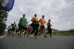 IMG 1298