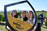 Vinskim maratonom “Wine & Run Orahovica” zaključen projekt “Slavonija & Podravina wine not!?” 11 Vinski maraton 6 600x400 1