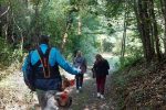 U Suhopolju održan volonterski projekt “72 sata bez kompromisa”: Mladi darovali svoje vrijeme za dobrobit zajednice 13 IMG 20211016 WA0017