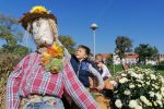 Jesen u gradu: Priliku za kupovinu domaćih proizvoda i uživanje u plodovima jeseni iskoristili brojni Virovitičani 21 IMG 20211002 111027 copy 1024x768