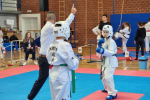 ”Berba” medalja slatinskih taekwondoistica i taekwondoista na Prvenstvu Hrvatske u Slavonskom Brodu 4 Izrezak1 Custom
