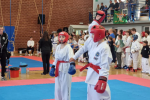 ”Berba” medalja slatinskih taekwondoistica i taekwondoista na Prvenstvu Hrvatske u Slavonskom Brodu 7 Izrezak5 Custom