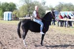 U Gornjem Predrijevu održana 11. Mijoljska potkova: U western jahanju slavio Nikola Komljenović, u galop utrci Midhet Hasić 3 m IMG 6405