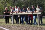U Gornjem Predrijevu održana 11. Mijoljska potkova: U western jahanju slavio Nikola Komljenović, u galop utrci Midhet Hasić 6 m IMG 6414