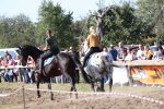 U Gornjem Predrijevu održana 11. Mijoljska potkova: U western jahanju slavio Nikola Komljenović, u galop utrci Midhet Hasić 10 m IMG 6431