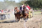 U Gornjem Predrijevu održana 11. Mijoljska potkova: U western jahanju slavio Nikola Komljenović, u galop utrci Midhet Hasić 15 m IMG 6453
