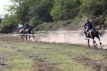 U Gornjem Predrijevu održana 11. Mijoljska potkova: U western jahanju slavio Nikola Komljenović, u galop utrci Midhet Hasić 24 m IMG 6501