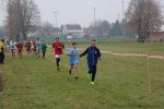 IMG 2589