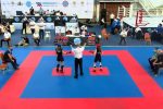 Dvije europske bronce stižu u Hrvatsku, Virovitičko-podravsku županiju i Slatinu u režiji čudesne - Eve Gal 1 eva gal 2