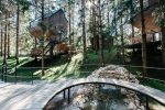 Arboretum Lisičine postat će prirodni i turistički biser: Posjetitelji će moći šetati među krošnjama bukove prašume, prenoćiti u kućici na drvetu i kupiti autohtonu sadnicu u slavonskom rasadniku 1 ARBORETUM ilustracija 768x513 1