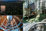 Arboretum Lisičine postat će prirodni i turistički biser: Posjetitelji će moći šetati među krošnjama bukove prašume, prenoćiti u kućici na drvetu i kupiti autohtonu sadnicu u slavonskom rasadniku 2 Collage Fotor 15