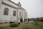 IMG 5886