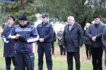 IMG 5996