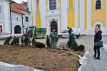 Napreduje uređenje Franjevačkog parka: U tijeku sadnja biljaka i opločenje prostora ispred Crkve sv. Roka u Virovitici 1 20220217 093315