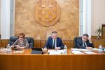 U Velikoj vijećnici je održana sjednica Županijske skupštine Virovitičko-podravske županije: Govorilo se u budućim ulaganjima u školstvo, brzoj cesti,... 18 IMG 2465