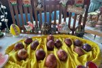 Fotogalerija: Udruga žena „Guščarice“ Grabrovnica prigodnim programom i izložbom obilježila Uskrs 1 20220418 111546 copy 1000x750