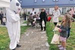 Fotogalerija: "Potraga za pisanicama" - Zanimljiva uskrsna avantura u vrt suhopoljskog Dvorca Janković privukla je velik broj mališana, najbolji tragači "okitili"’ se medaljama 2 Potraga 2