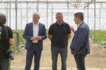 S brojnim kooperantima, virovitička tvrtka Brana godišnje proizvede 6,5 milijuna kilograma voća i povrća od čega izvezu 35 posto, u Pepelanama su EU sredstvima zasadili moderan voćnjak jabuka i šljiva 9 brana majdak obilazak 14