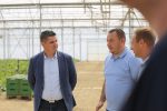 S brojnim kooperantima, virovitička tvrtka Brana godišnje proizvede 6,5 milijuna kilograma voća i povrća od čega izvezu 35 posto, u Pepelanama su EU sredstvima zasadili moderan voćnjak jabuka i šljiva 12 brana majdak obilazak 17