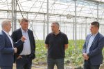 S brojnim kooperantima, virovitička tvrtka Brana godišnje proizvede 6,5 milijuna kilograma voća i povrća od čega izvezu 35 posto, u Pepelanama su EU sredstvima zasadili moderan voćnjak jabuka i šljiva 5 brana majdak obilazak 7