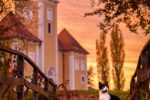 Volim svoju županiju 2022: Pogledajte rezultate foto natječaja Hrvatske zajednice županija, pobjednik za VPŽ je Ivan Selci 16 16. Grof Mačak od Lukavca Robert Klarić
