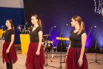 Fotogalerija: Pogledajte atmosferu i prikaz svih nastupa učenika na manifestaciji „Zbogom školo do jeseni“ 44 IMG 0752
