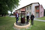 IMG 4687 2