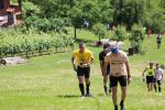 IMG 9471