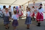 Matica slovačka Zokov Gaj i ove godine tradicionalnom manifestacijom očuvala stare običaje Hrvata-Slavonaca i Slovaka ovoga kraja 4 291980235 5446803872006530 3139310146427405147 n