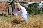 Matica slovačka Zokov Gaj i ove godine tradicionalnom manifestacijom očuvala stare običaje Hrvata-Slavonaca i Slovaka ovoga kraja 18 292466956 1284025542132033 1594711202589341011 n