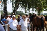 Fotogalerija: U povodu Dana općine u Čađavici održana 15. međužupanijska izložba hladnokrvnih konja i revija zaprega 20 IMG 6961