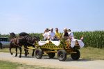 Fotogalerija: U povodu Dana općine u Čađavici održana 15. međužupanijska izložba hladnokrvnih konja i revija zaprega 27 IMG 7005