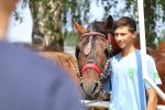 Fotogalerija: U povodu Dana općine u Čađavici održana 15. međužupanijska izložba hladnokrvnih konja i revija zaprega 33 IMG 7034