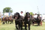 Fotogalerija: U povodu Dana općine u Čađavici održana 15. međužupanijska izložba hladnokrvnih konja i revija zaprega 37 IMG 7086
