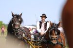 Fotogalerija: U povodu Dana općine u Čađavici održana 15. međužupanijska izložba hladnokrvnih konja i revija zaprega 47 IMG 7151