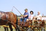 Fotogalerija: U povodu Dana općine u Čađavici održana 15. međužupanijska izložba hladnokrvnih konja i revija zaprega 48 IMG 7157