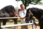 Fotogalerija: U povodu Dana općine u Čađavici održana 15. međužupanijska izložba hladnokrvnih konja i revija zaprega 56 IMG 7220
