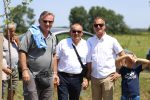 Fotogalerija: U povodu Dana općine u Čađavici održana 15. međužupanijska izložba hladnokrvnih konja i revija zaprega 63 IMG 7296