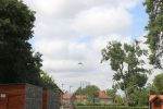 U prirodu je vraćena oporavljena mlada šumska sova 6 IMG 7303