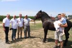 Fotogalerija: U povodu Dana općine u Čađavici održana 15. međužupanijska izložba hladnokrvnih konja i revija zaprega 65 m IMG 4698