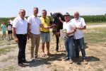 Fotogalerija: U povodu Dana općine u Čađavici održana 15. međužupanijska izložba hladnokrvnih konja i revija zaprega 66 m IMG 4699