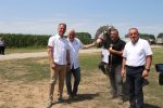 Fotogalerija: U povodu Dana općine u Čađavici održana 15. međužupanijska izložba hladnokrvnih konja i revija zaprega 70 m IMG 4703