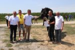 Fotogalerija: U povodu Dana općine u Čađavici održana 15. međužupanijska izložba hladnokrvnih konja i revija zaprega 73 m IMG 4707