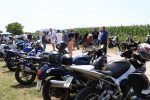 Fotogalerija: U povodu Dana općine u Čađavici održana 15. međužupanijska izložba hladnokrvnih konja i revija zaprega 86 m IMG 4722
