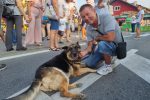 Vatra, miris pečenjaka i prepun pitomački trg na 15. Danu pečenjakov: Izvrsnu manifestaciju zaključio koncert grupe Vigor 38 20220807 185809
