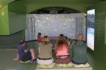 Fotogalerija: U sklopu programa River Journey, Dravsku priču posjetili njemački, austrijski i slovenski kanuisti 24 306094985 497699758568239 1704573391950218886 n