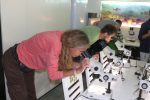 Fotogalerija: U sklopu programa River Journey, Dravsku priču posjetili njemački, austrijski i slovenski kanuisti 41 306942421 1442230876286646 3025991596212042012 n