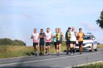 IMG 4491