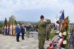 cetekovac 12