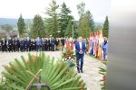 cetekovac 28